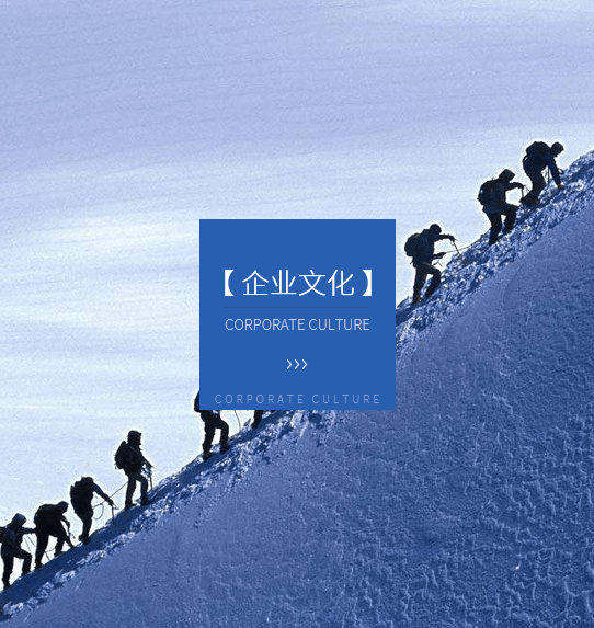 星芒网络科技（西安）有限公司